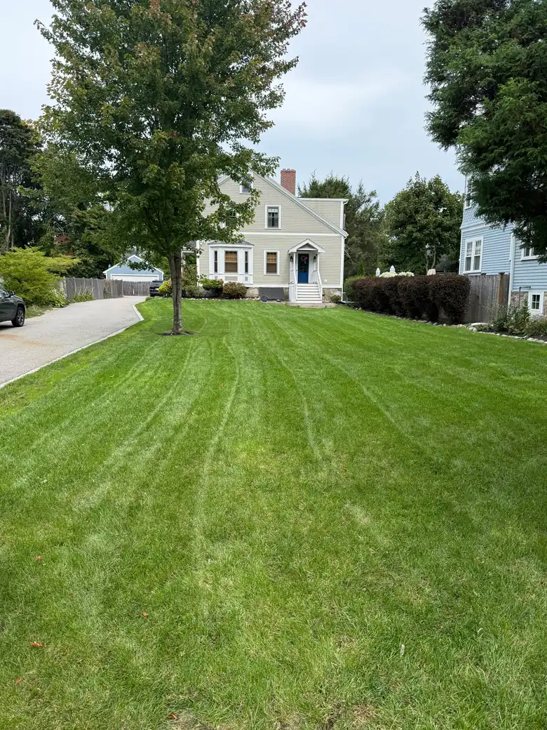 Lawn mowing & weekly maintenance